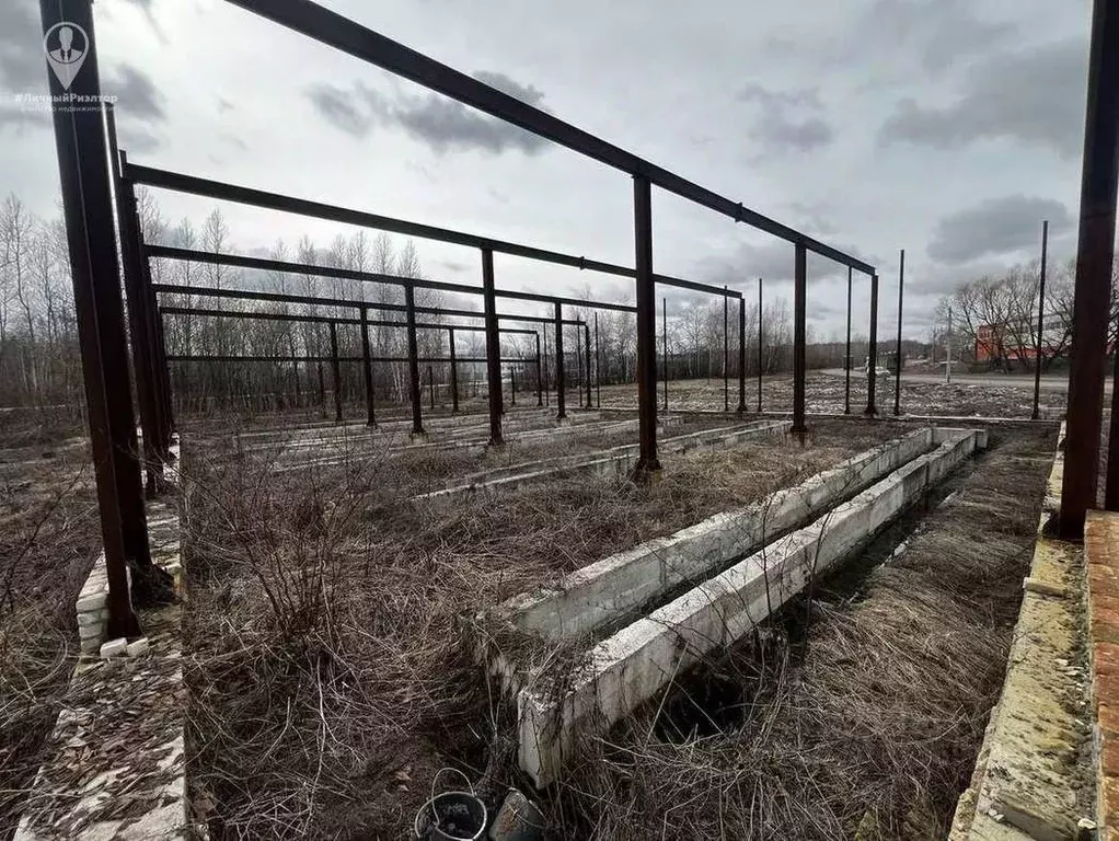 Участок в Рязанская область, Пронский муниципальный округ, пос. ... - Фото 2