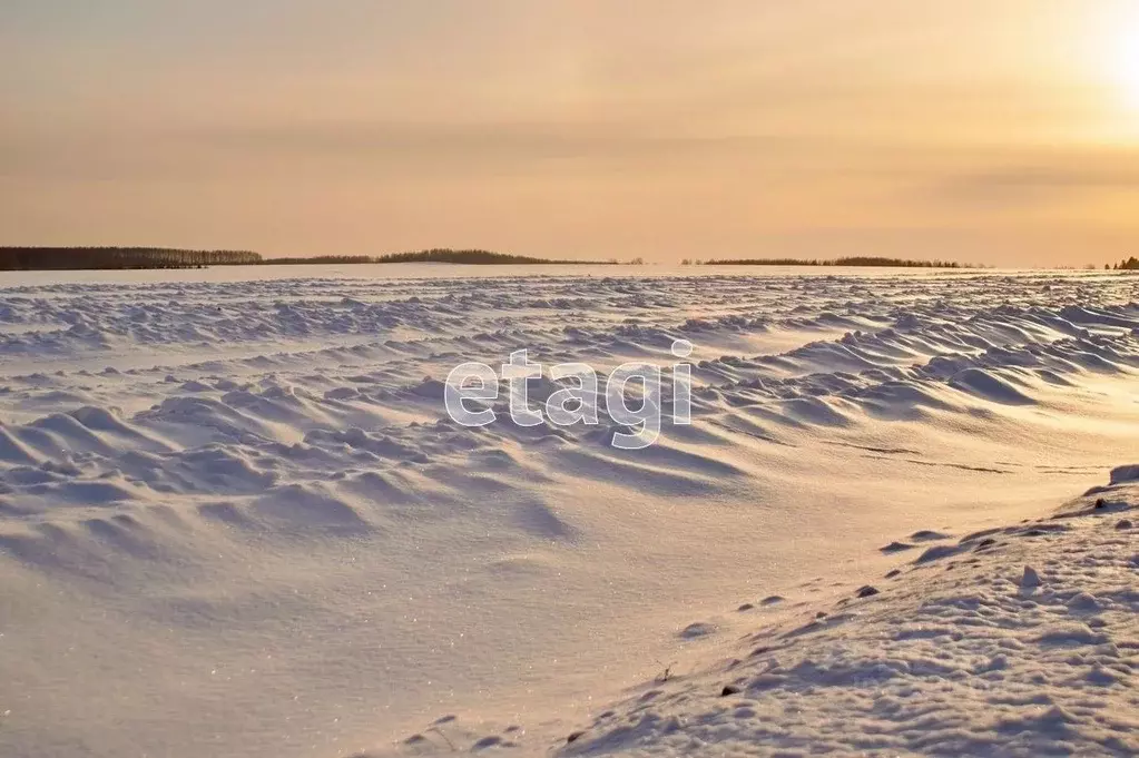 Участок в Вологодская область, Кирилловский муниципальный округ, д. ... - Фото 2