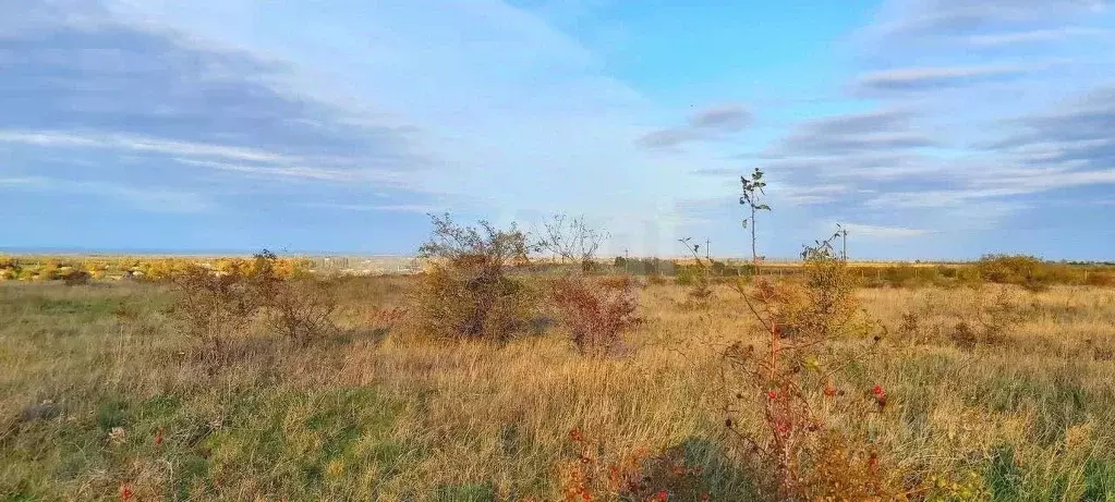 Участок в Крым, Кировский район, Первомайское с/пос, с. Изюмовка ул. ... - Фото 1