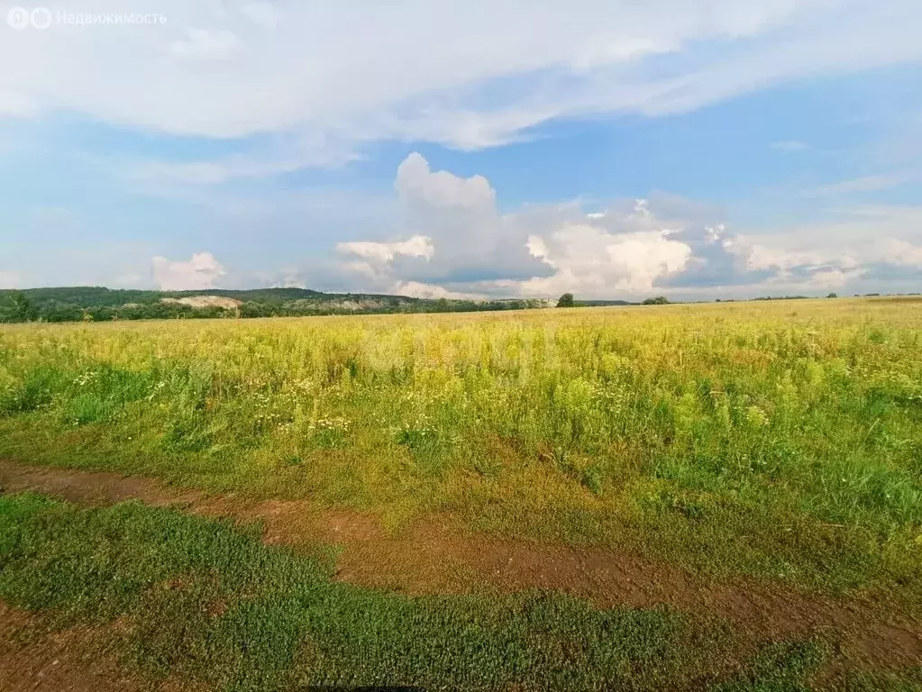 Участок в Ишимбайский район, село Ишеево (7.9 м) - Фото 1