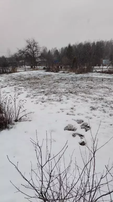 Участок в Владимирская область, Александров ул. 6-я Линия, 14 (6.9 ... - Фото 2