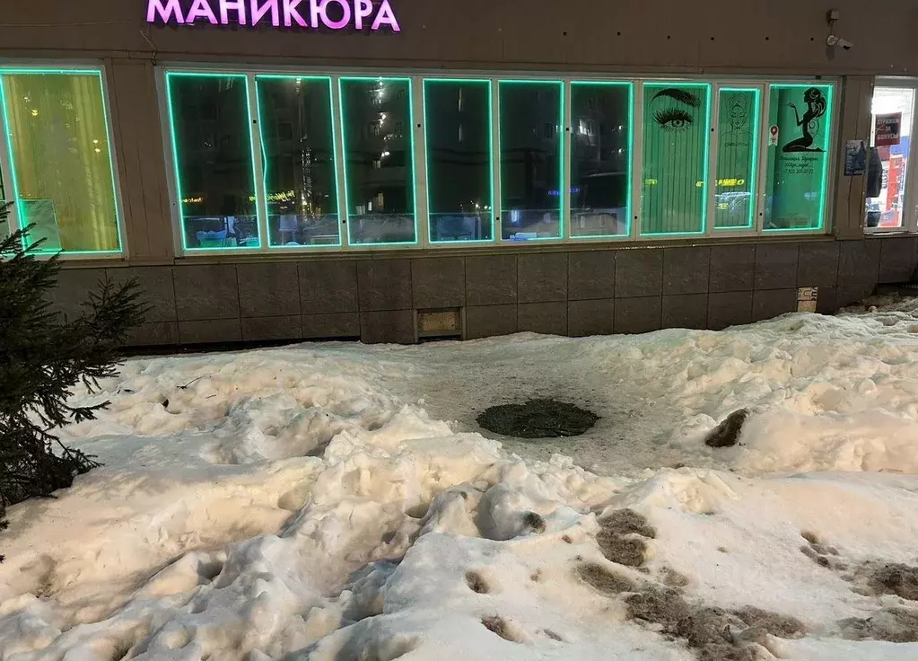 Помещение свободного назначения в Москва Внуковское поселение, ул. ... - Фото 1