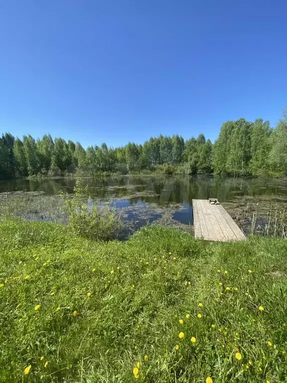Участок 72 сот. (СНТ, ДНП) - Фото 0