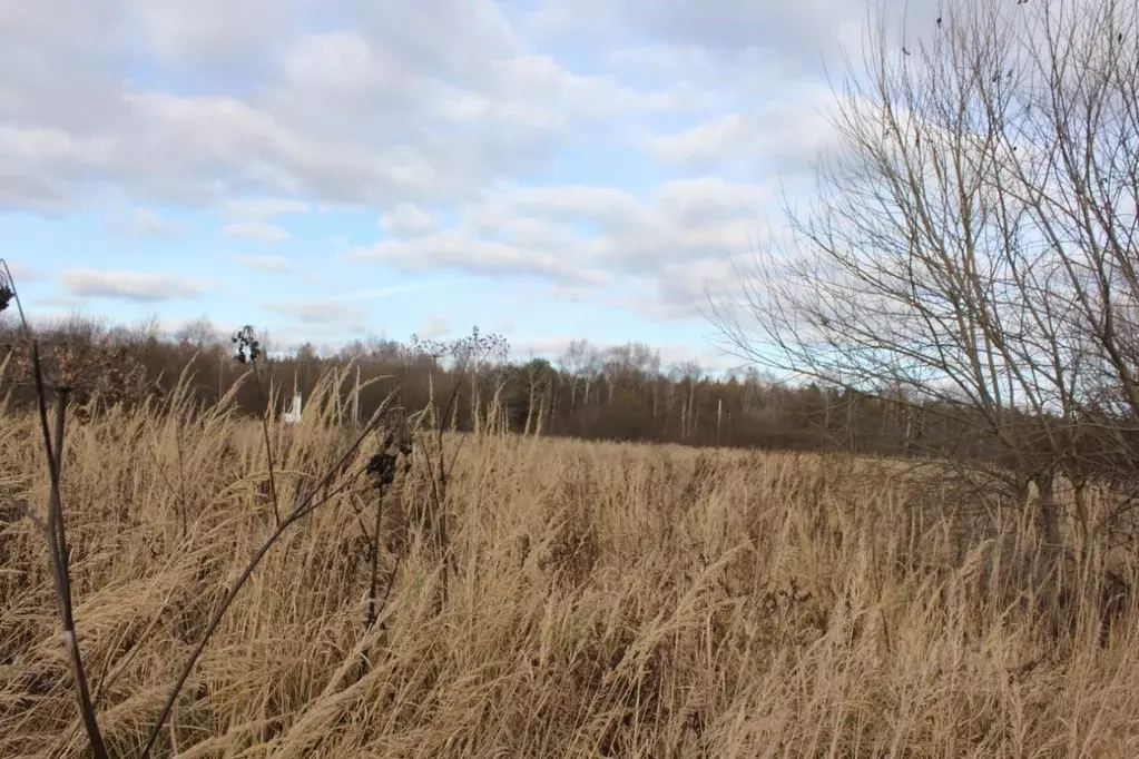 Участок в Москва д. Кузнецово, ул. Березовая (19.56 сот.) - Фото 2