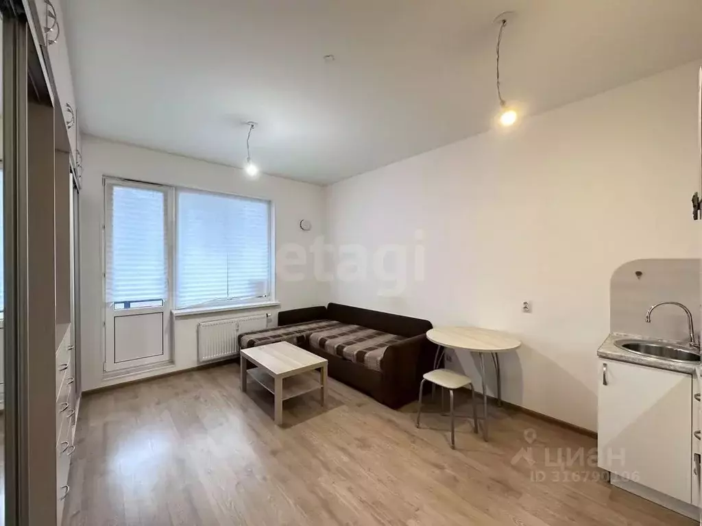 Студия Санкт-Петербург Кондратьевский просп., 68к4 (25.3 м) - Фото 0