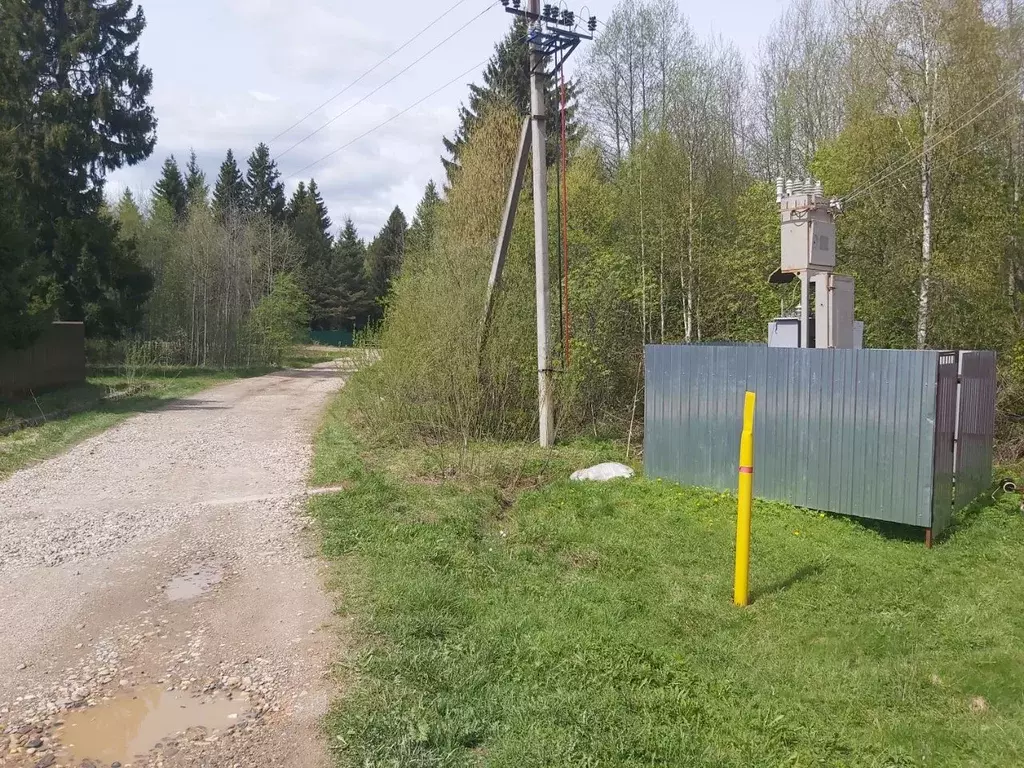 Участок в Владимирская область, Александровский район, Молокча садовое .,  Купить земельный участок в Александровском районе, ID объекта - 20005306233