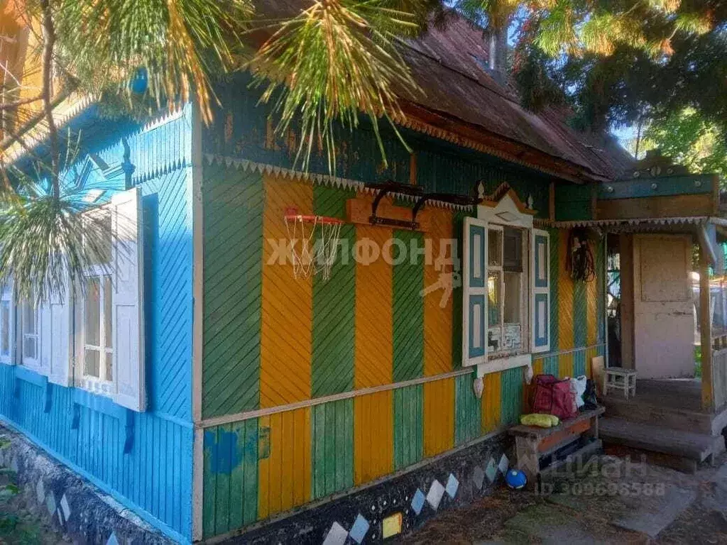 Дом в Новосибирская область, Новосибирск Спутник СНТ,  (50 м) - Фото 0