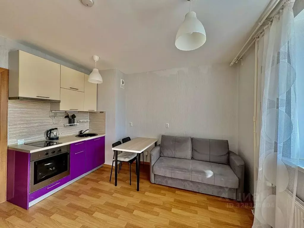 Студия Санкт-Петербург пос. Парголово, Заречная ул., 41 (21.4 м) - Фото 2