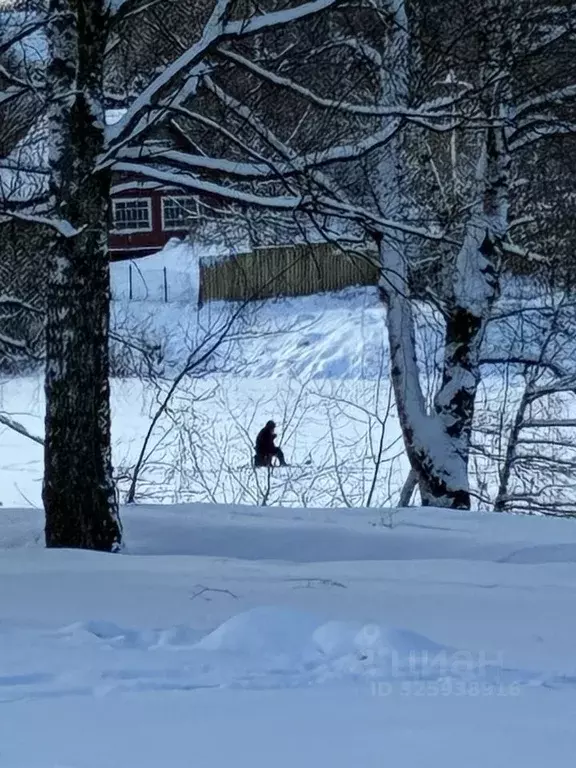 Участок в Московская область, Раменский муниципальный округ, с. ... - Фото 1