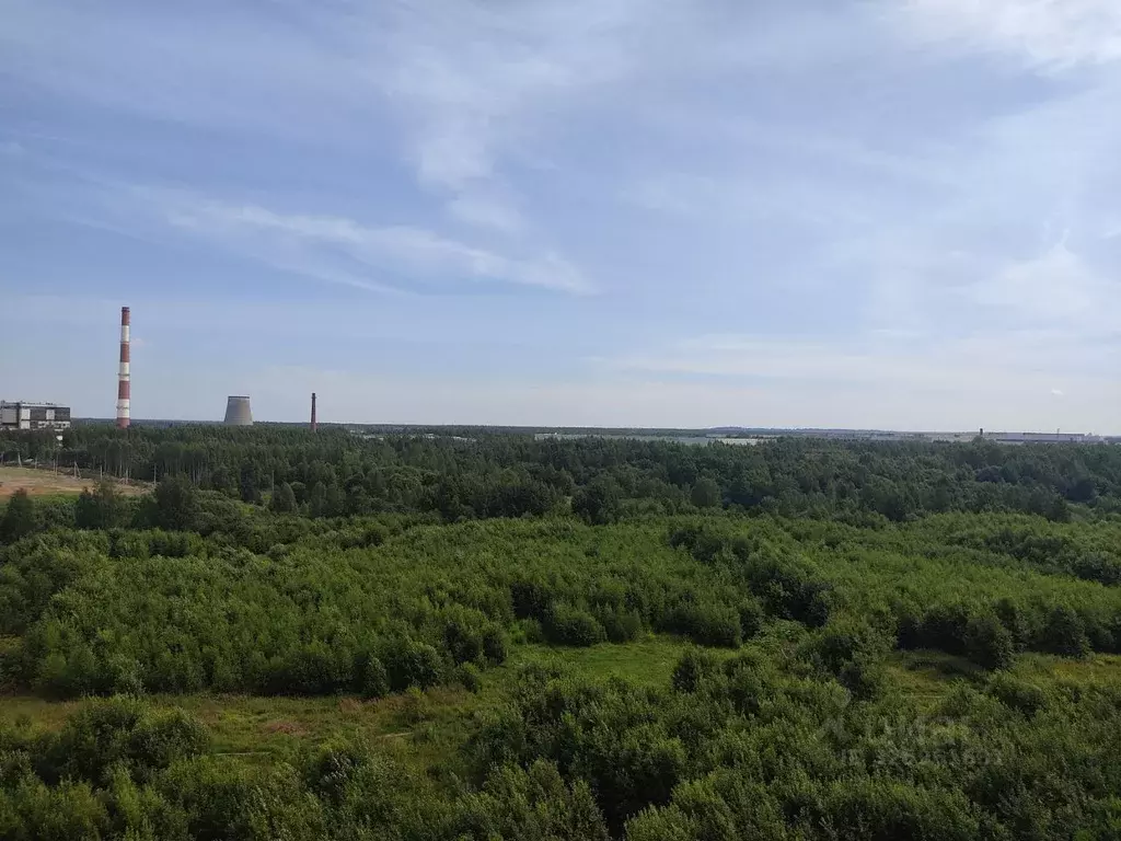 Студия Ленинградская область, Мурино Всеволожский район, ул. Шоссе в ... - Фото 2