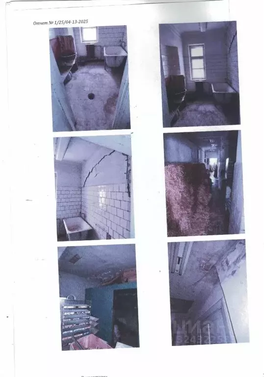 Помещение свободного назначения в Крым, Феодосия муниципальный округ, ... - Фото 2