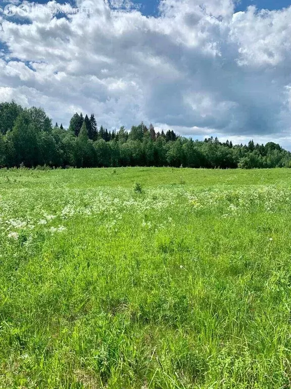 участок в валдайский район, едровское сельское поселение, село едрово . - Фото 0