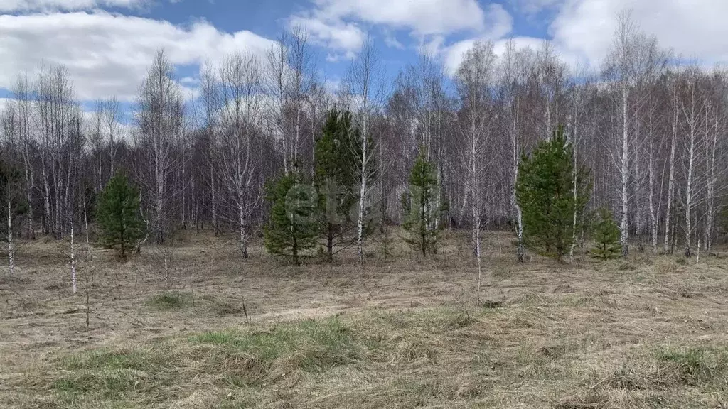 Участок в Челябинская область, Сосновский муниципальный округ, д. ... - Фото 1