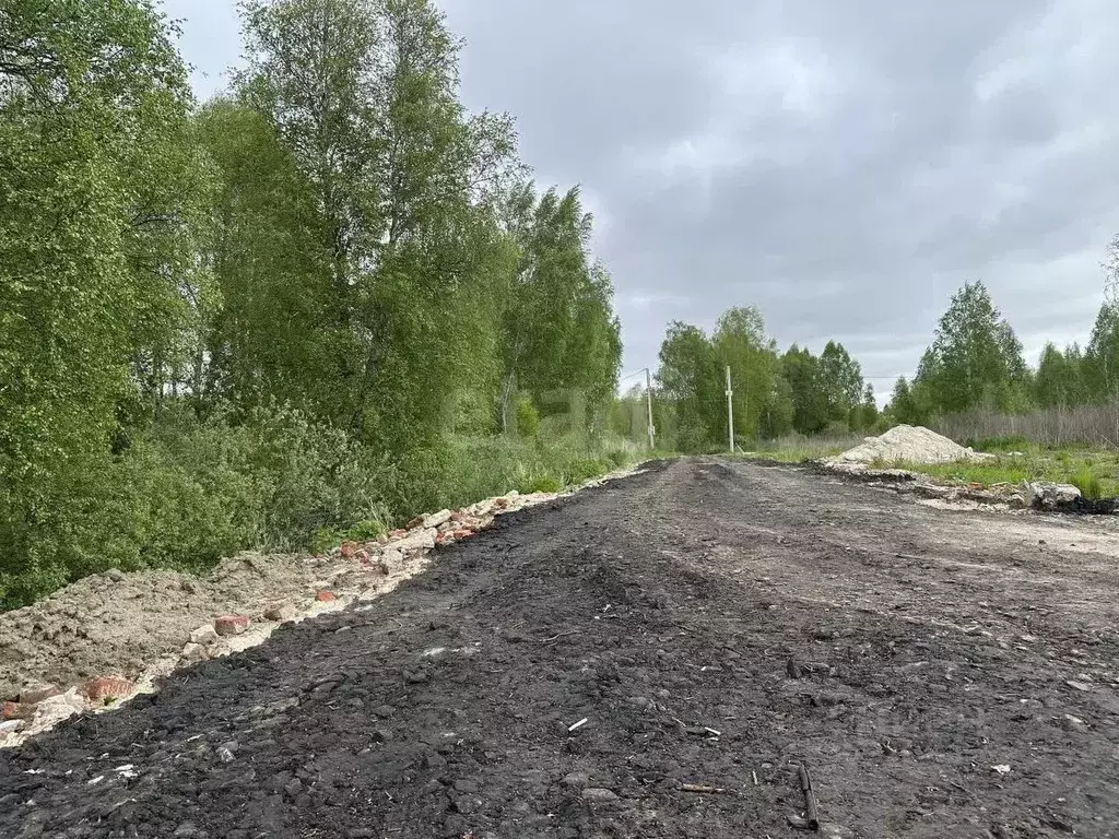 Участок в Тюменская область, Нижнетавдинский муниципальный округ, ... - Фото 0