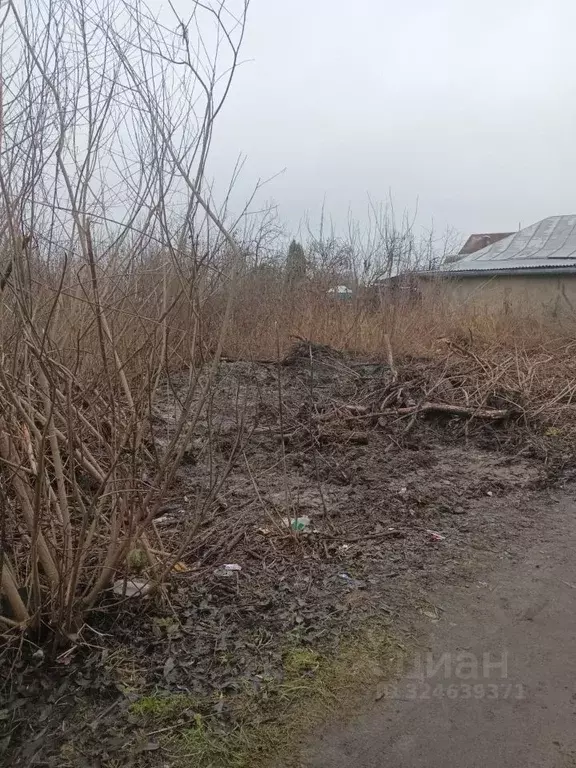 Участок в Московская область, Егорьевск муниципальный округ, д. ... - Фото 1