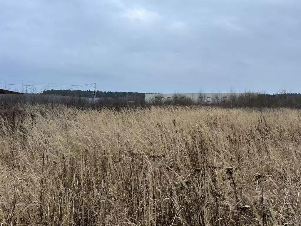 Участок в Владимирская область, Александров  (1.4 сот.) - Фото 0