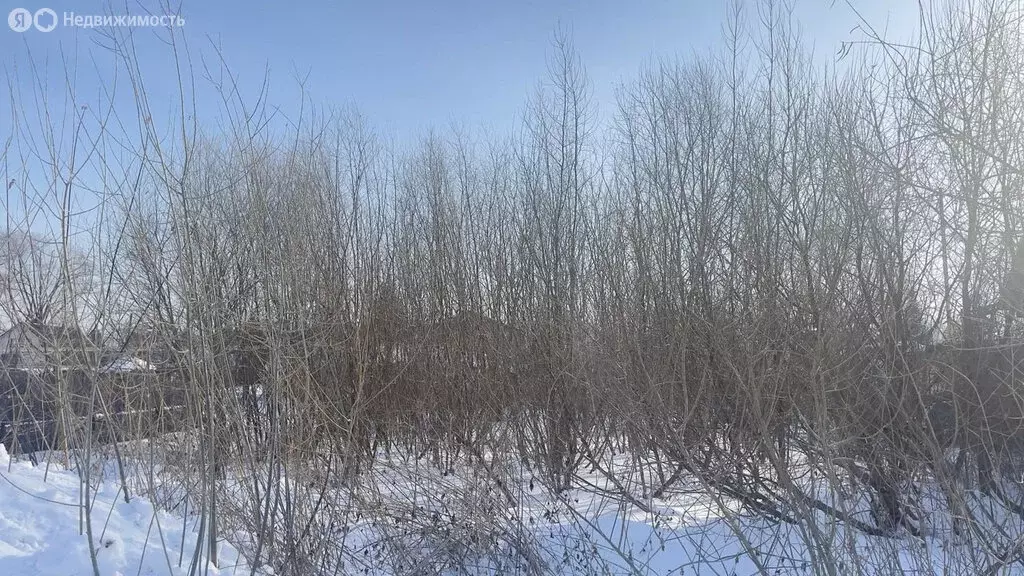 Участок в Криводановский сельсовет, садовое некоммерческое ... - Фото 1