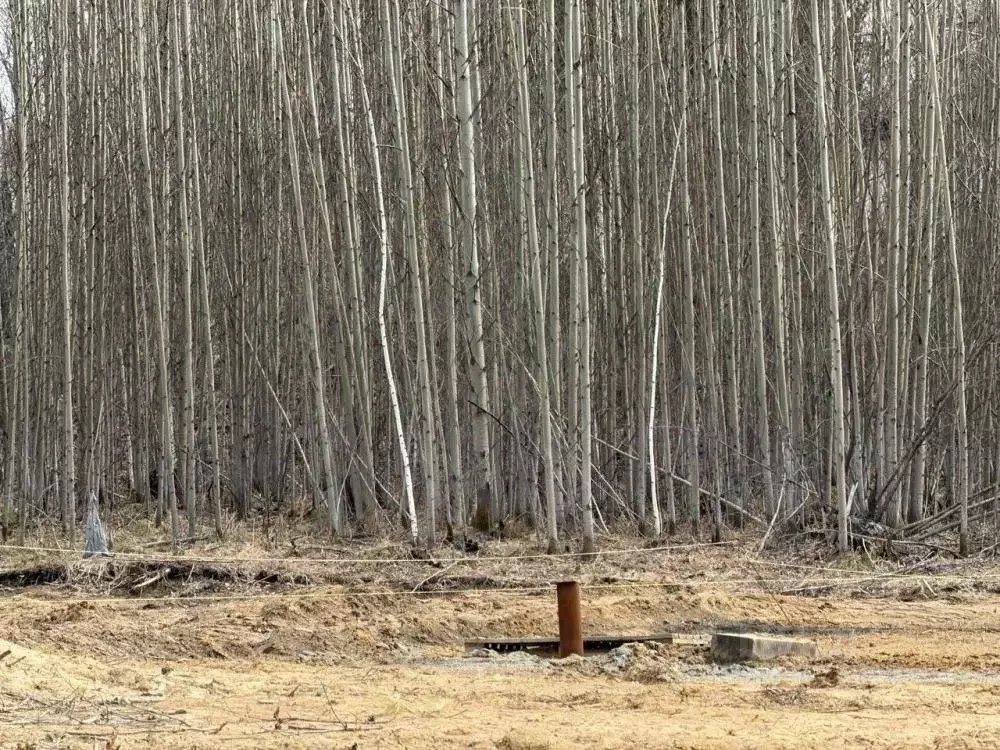 Участок в Иркутская область, Иркутский муниципальный округ, д. ... - Фото 2