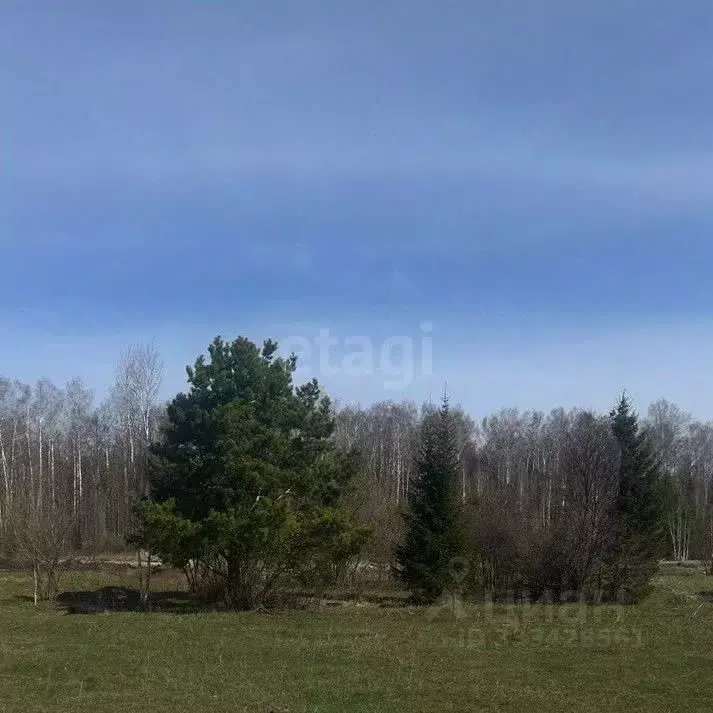 Участок в Тюменская область, Нижнетавдинский муниципальный округ, ... - Фото 1