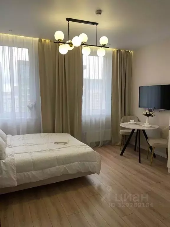 Студия Москва Березовая аллея, 19к6 (24.0 м) - Фото 2