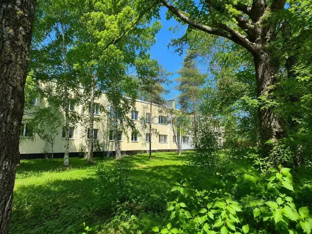 1-к кв. Нижегородская область, Лысково Казанская ул., 35 (26.3 м) - Фото 1