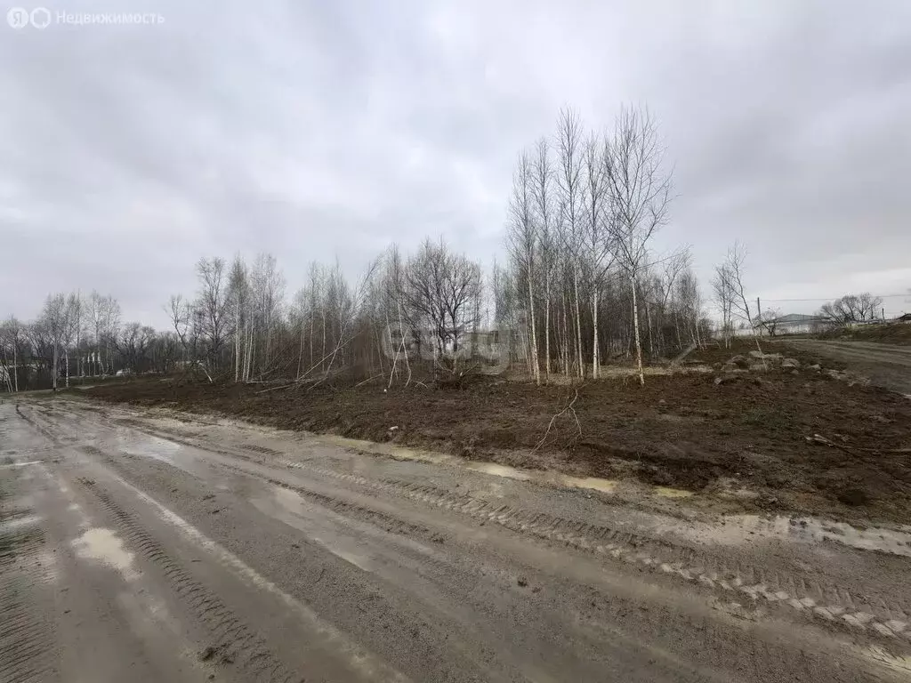 Участок в Хабаровск, Автобусная улица (13 м) - Фото 1