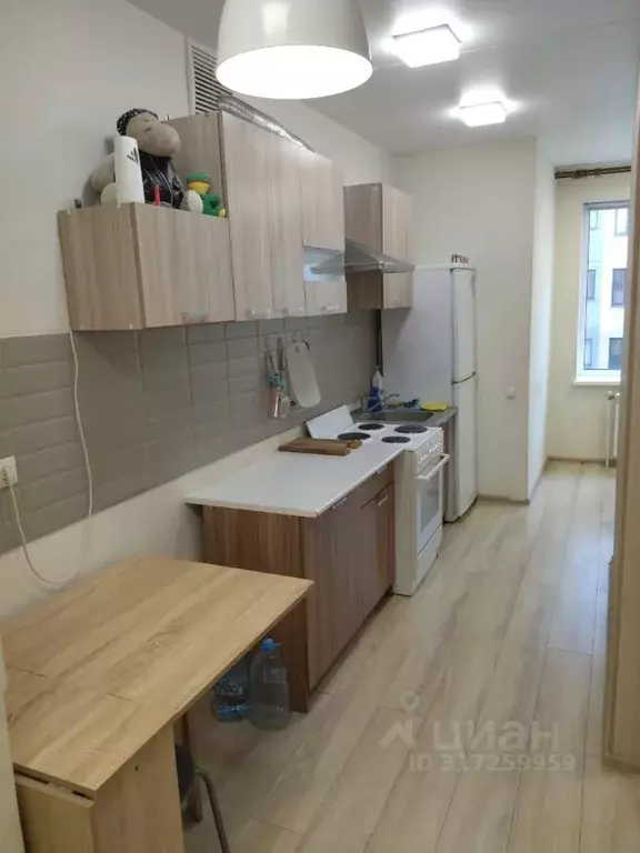Студия Белгородская область, Белгород ул. Семейная, 9 (30.5 м) - Фото 0