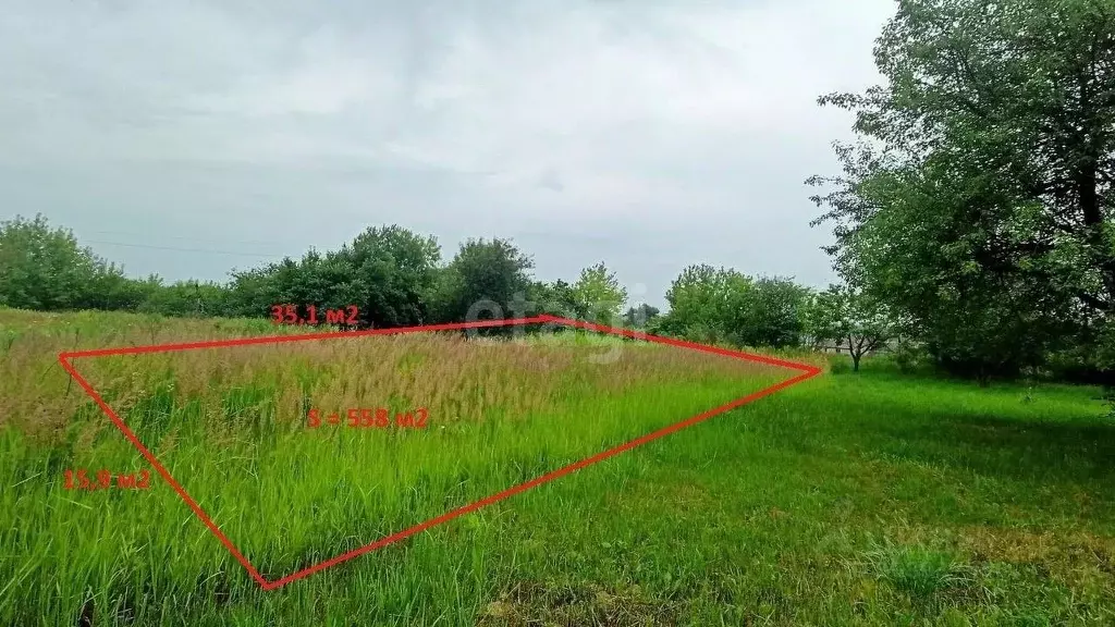 Участок в Брянская область, Брянский район, Супоневское с/пос, с. ... - Фото 2