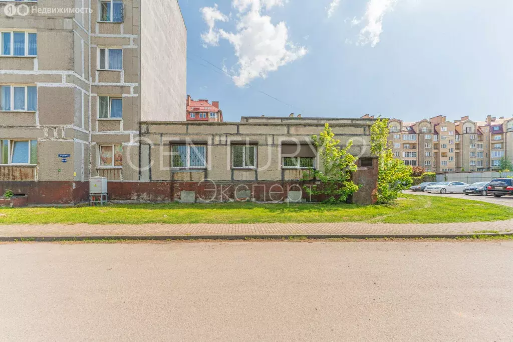 Помещение свободного назначения (505 м) - Фото 2