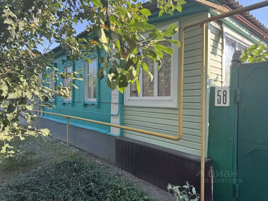 Дом в Воронежская область, Россошь ул. Серегина, 58 (43 м) - Фото 1