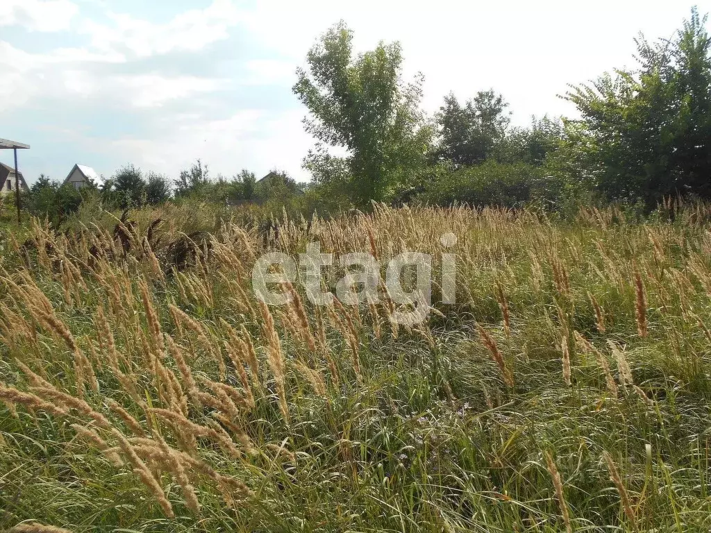 Участок в Белгородская область, Валуйки ул. Свободы (8.5 сот.) - Фото 0