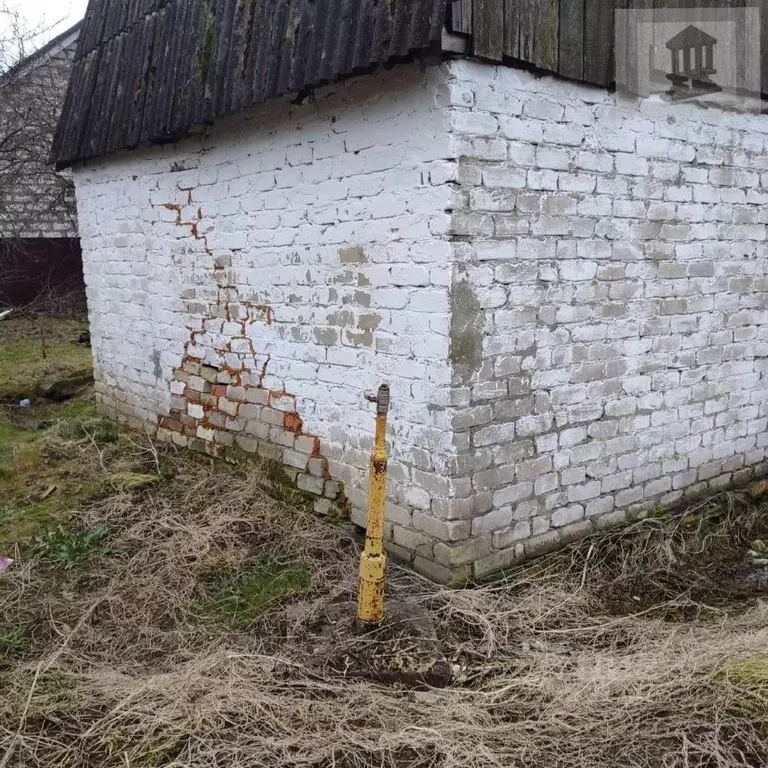 Участок в Калининградская область, Гурьевск Урожай СНТ, 107А (5.55 ... - Фото 2