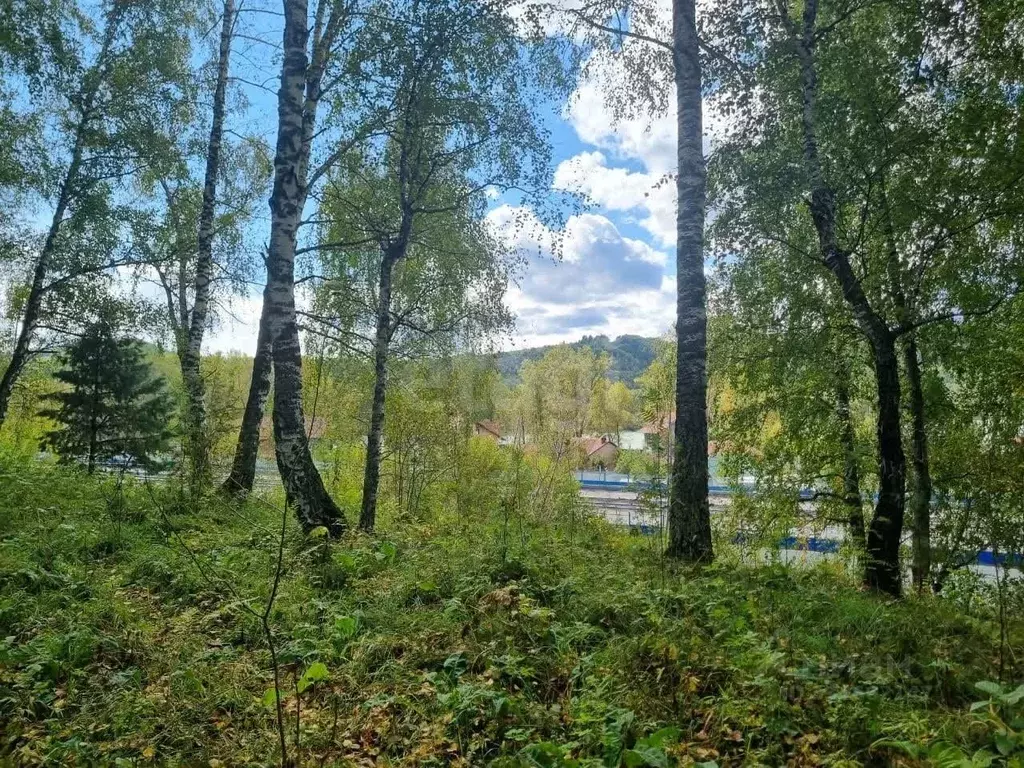 Участок в Алтай, Майминский район, пос. Дубровка Школьная ул. (12.0 ... - Фото 1