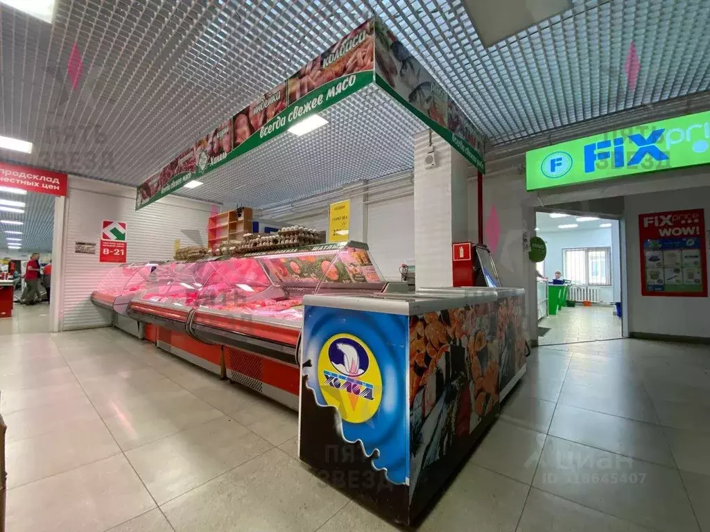 Торговая площадь в Самарская область, Самара просп. Кирова, 255А (23 ... - Фото 2