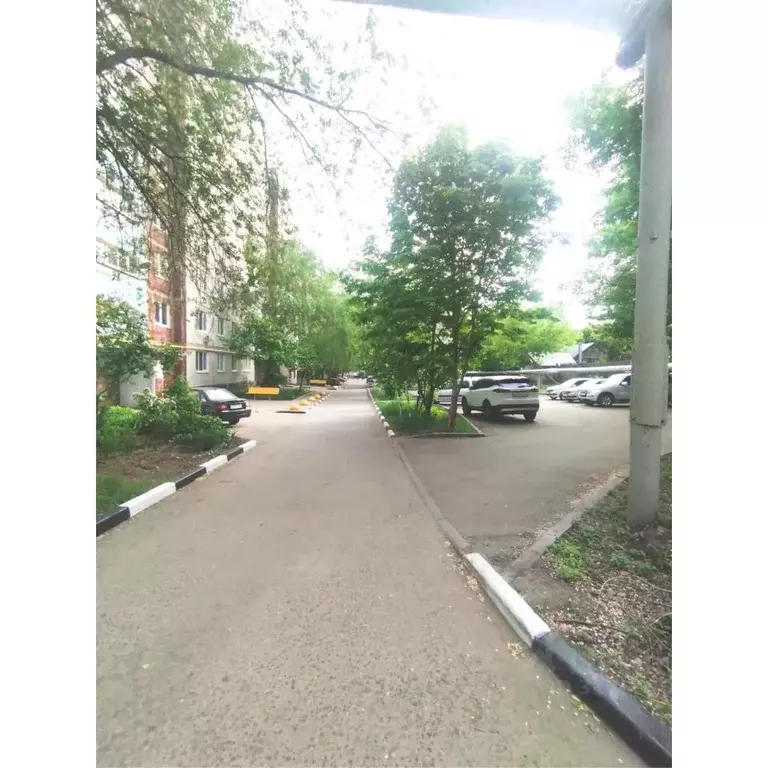 3-к кв. Саратовская область, Саратов Свинцовая ул., 5/15 (64.0 м) - Фото 0