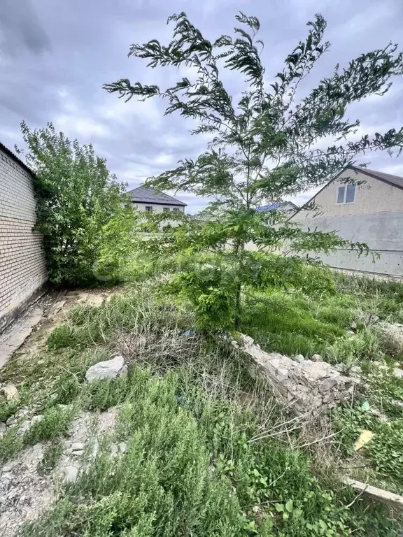 Участок в Дагестан, Махачкала городской округ, с. Новый Хушет ул. ... - Фото 0