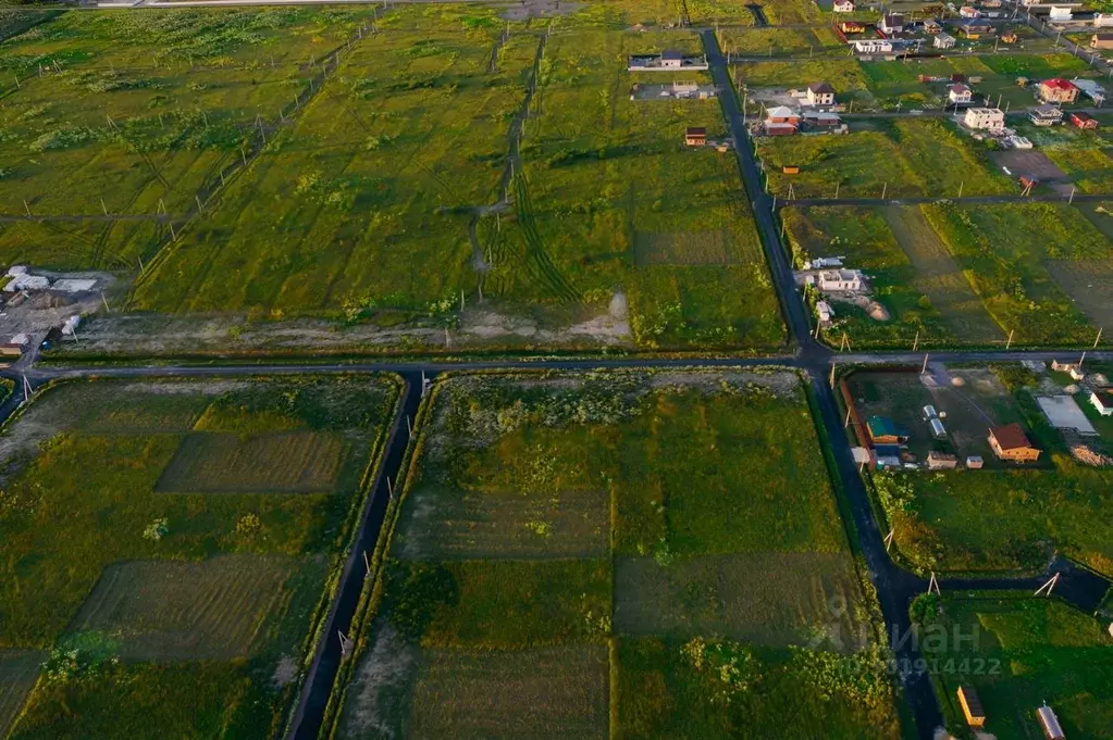 Участок в Ленинградская область, Тосненский район, Федоровское ... - Фото 0