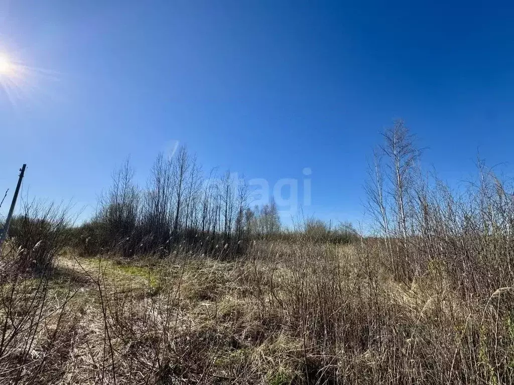 Участок в Тюменская область, Нижнетавдинский муниципальный округ, ... - Фото 1