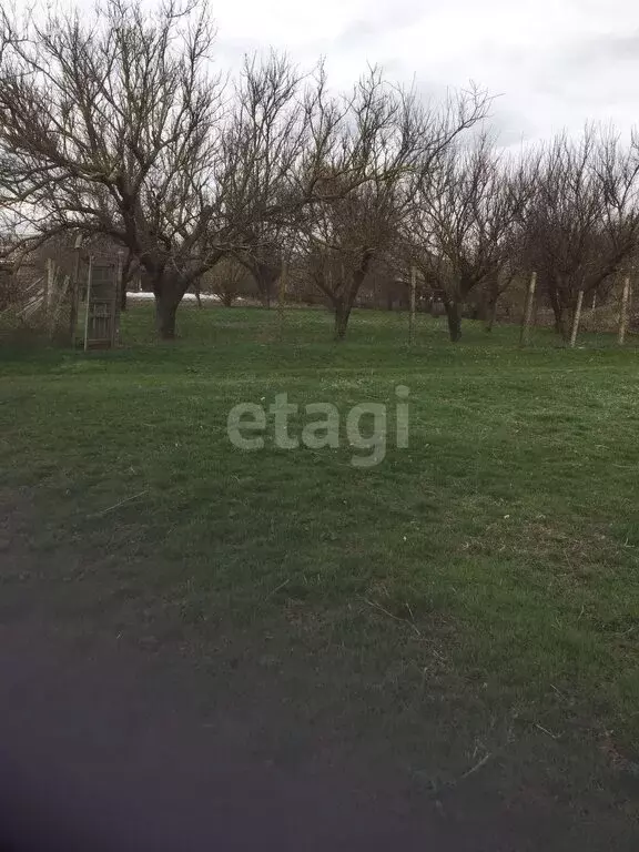 Участок в Красногвардейский район, село Восход (20 м) - Фото 0