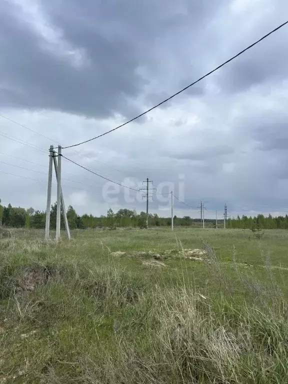 Участок в Владимирская область, Ковровский район, Малыгинское с/пос, ... - Фото 0