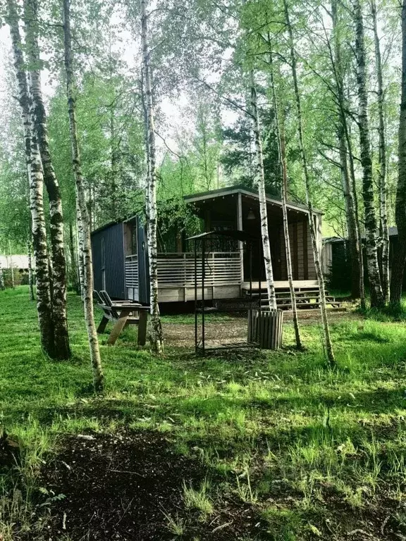 Дом в Ленинградская область, Ломоносовский район, д. Низино 16 (54 м) - Фото 0