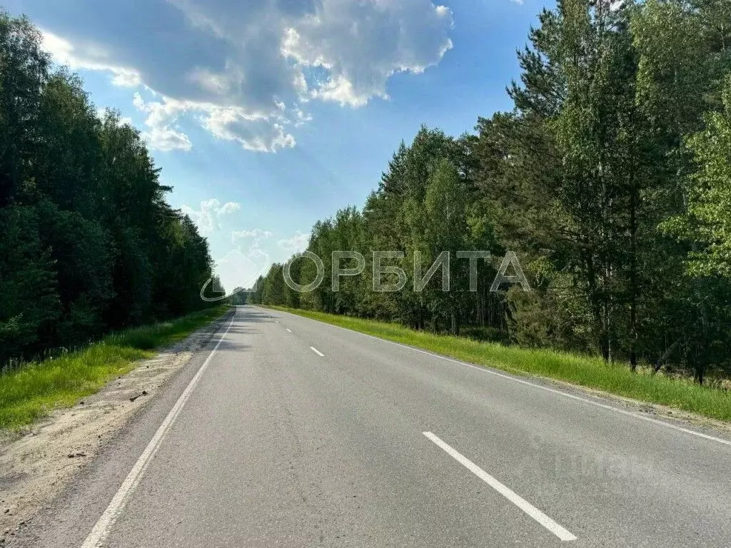 Участок в Тюменская область, Тюменский район, с. Салаирка  (1640.0 ... - Фото 1
