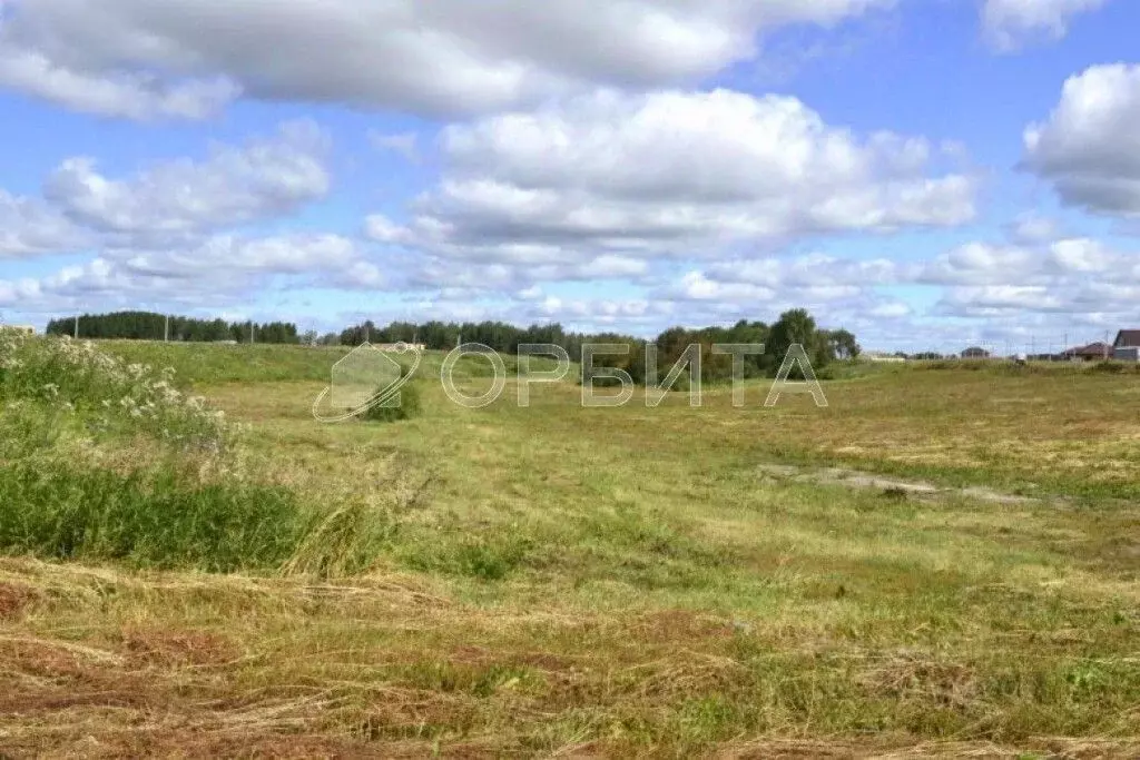 Участок в Тюменская область, Тюменский муниципальный округ, с. Каменка ... - Фото 1