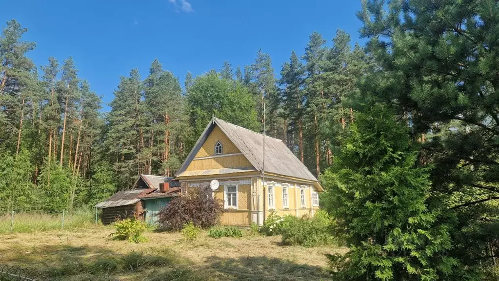 Дом в Тверская область, Западнодвинский район, пос. Рясно  (35 м) - Фото 0