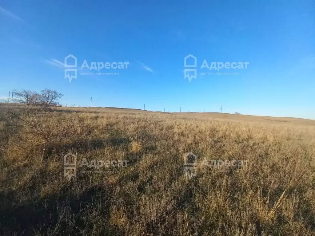 Участок в Волгоградская область, Городищенский район, Царицынское ... - Фото 2