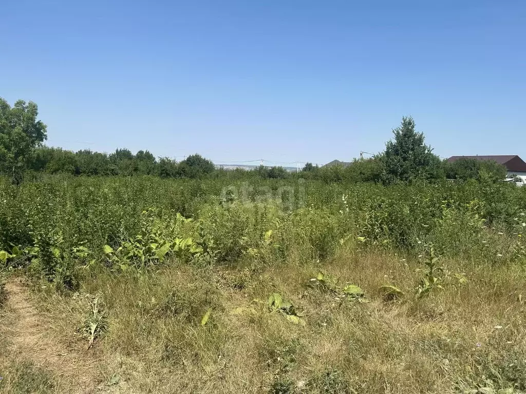 Участок в Краснодарский край, Новороссийск городской округ, ... - Фото 1
