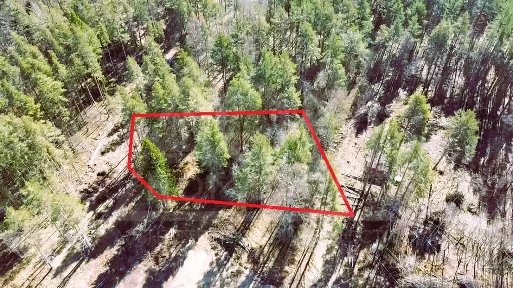 Участок в Ленинградская область, Приозерский район, Ларионовское ... - Фото 1