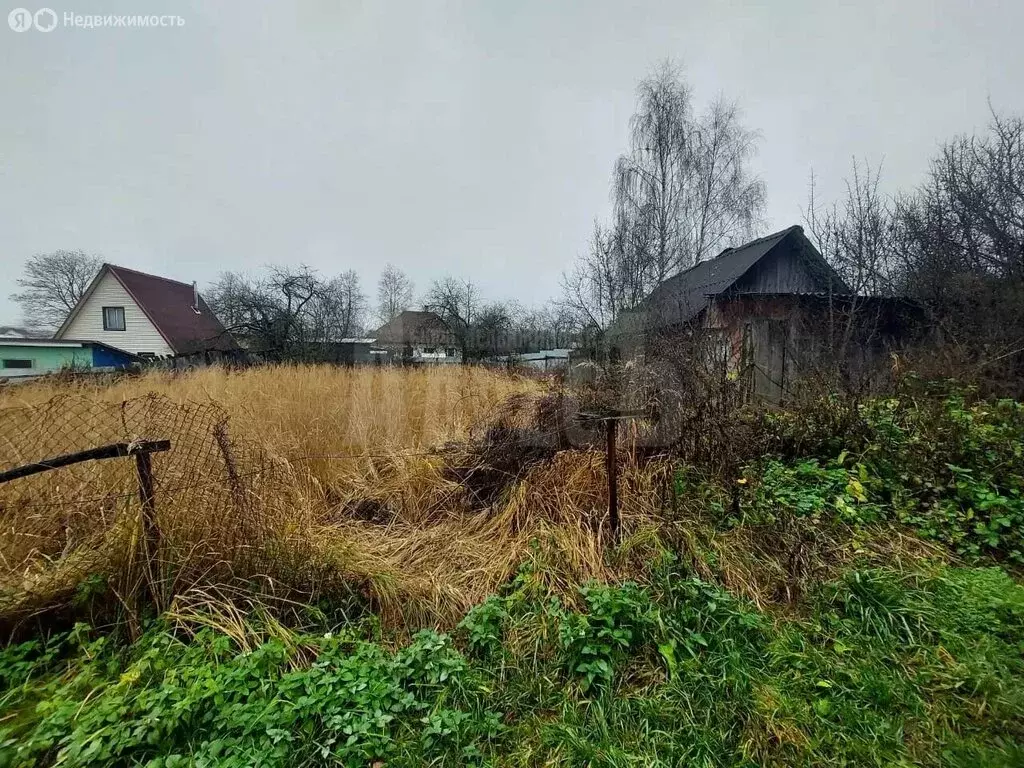 Участок в деревня Чёрная Грязь, Центральная улица, 3 (6 м) - Фото 2