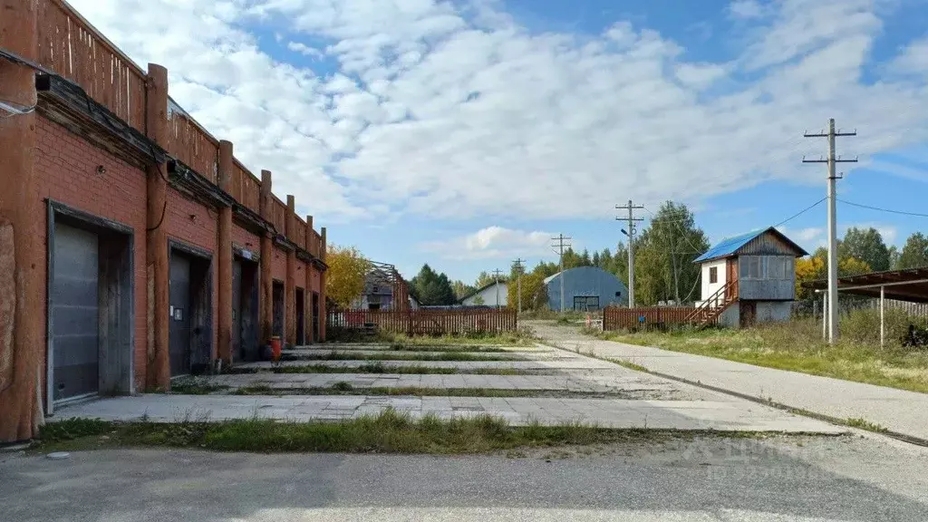 Производственное помещение в Свердловская область, Сысертский ... - Фото 2