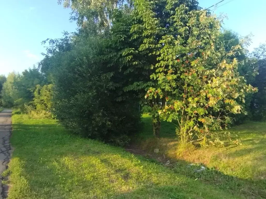 Дом в Московская область, Коломна городской округ, с. Мячково ул. ... - Фото 1